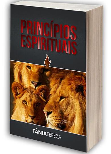 Princípios Espirituais Digital